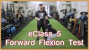Forward Flexion
